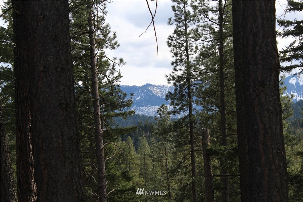 unlisted-address, Cle Elum, WA 98922 - photo 1