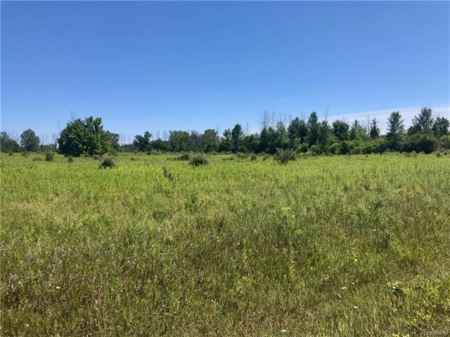 25 Acres.jpg