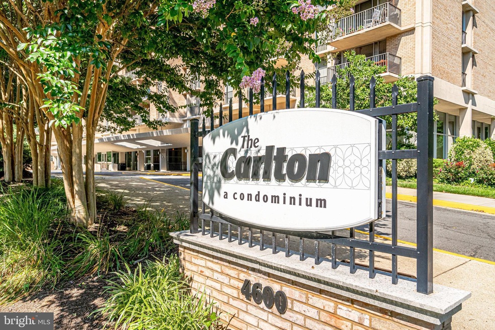 The Carlton unit 333, Arlington, VA 22204 - photo 1