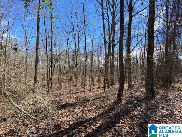 8761 Pine Mountain Rd unit 38, Pinson, AL 35126 - photo 1