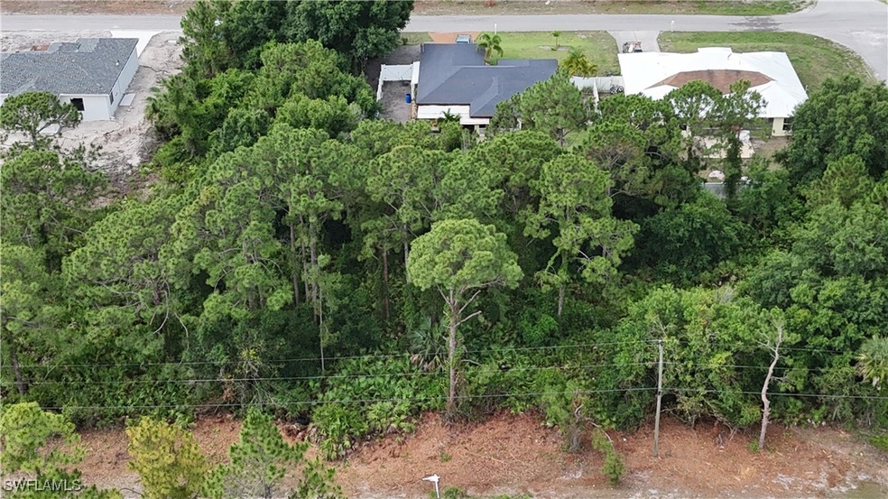 View of bird's eye view