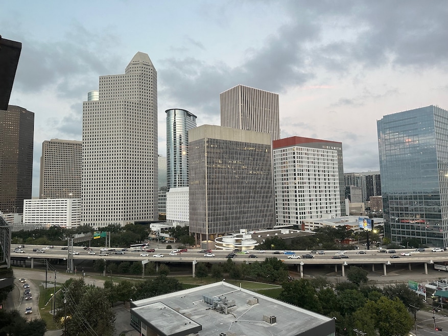 Rise Lofts unit 13432, Houston, TX 77002 - photo 1