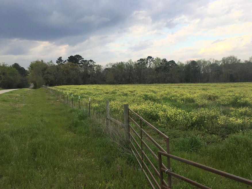 00 Pierce Chapel Rd, Cairo, GA 39828 - photo 1