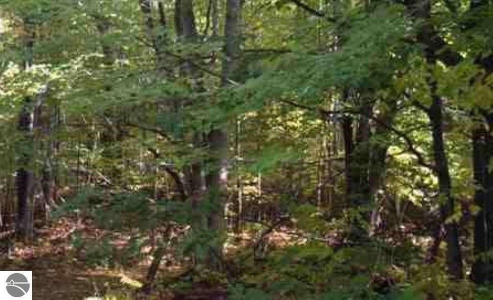 0 Morrison Rd unit 1899385, Alger, MI 48610 - photo 1