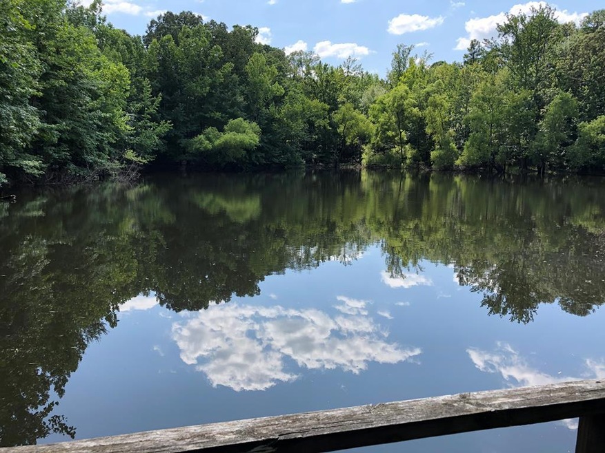 1873 College Hill Rd, Oxford, MS 38655 - photo 1