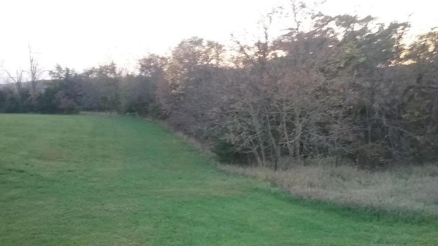 20171019_183313 (1)