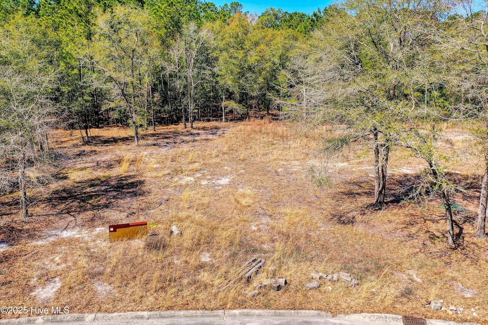05-315_dji_0891_skyvue