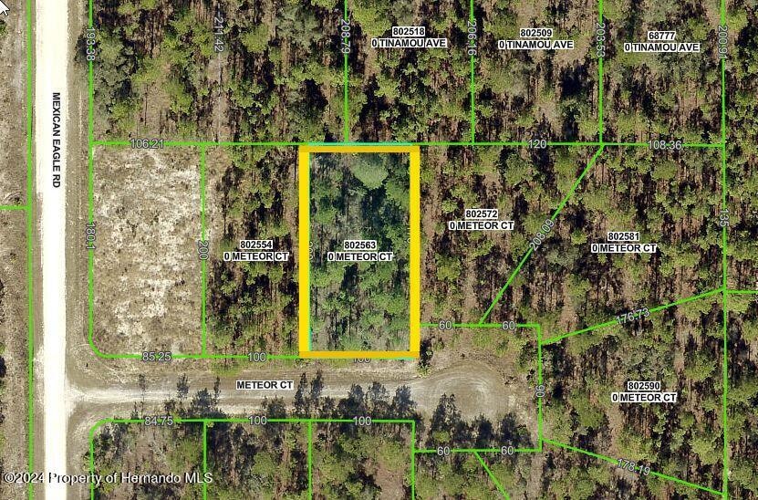 0 unit 2250036, Weeki Wachee, FL 34614 - photo 1