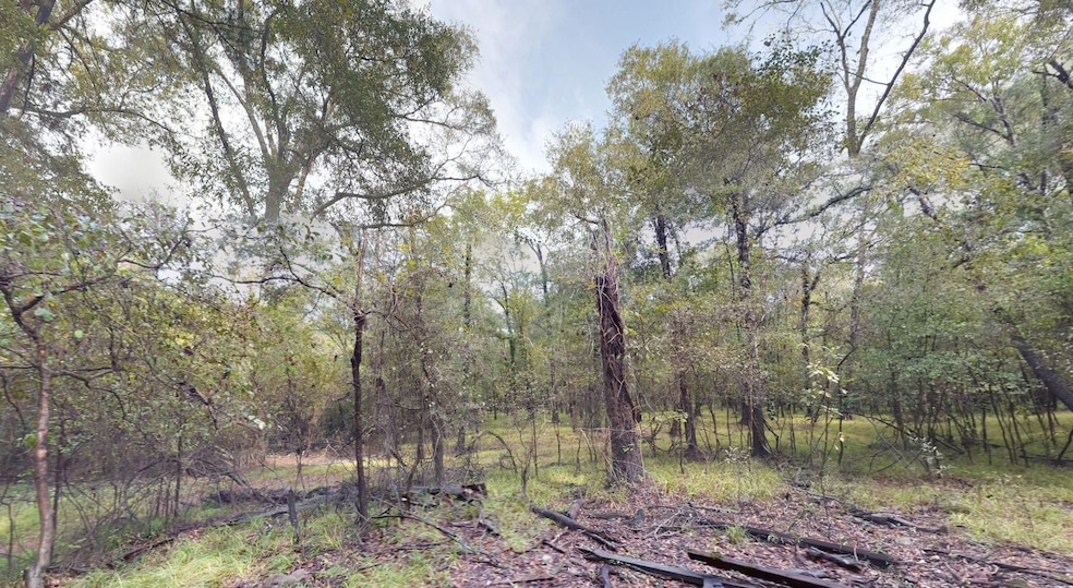 0 Lavaca Ln unit 25564660, Dayton Lakes, TX 77535 - photo 1