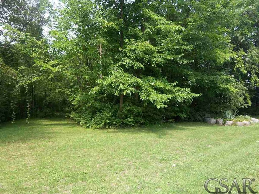 VL Elizabeth Dr, Caledonia Township, MI 48867 - photo 1