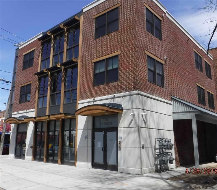423 Madison Ave, Albany, NY 12210 - photo 1