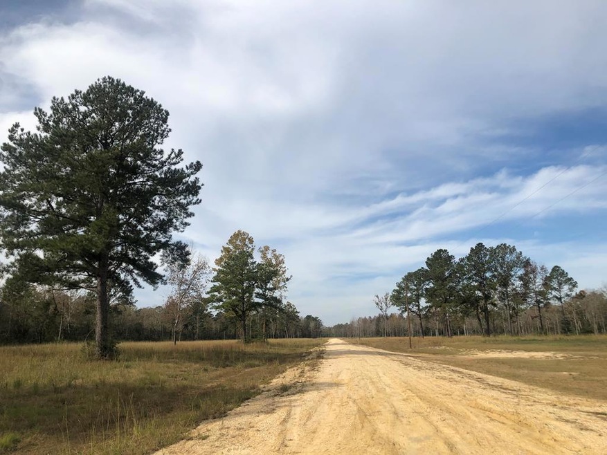 3 Moses Cove, Picayune, MS 39466 - photo 1