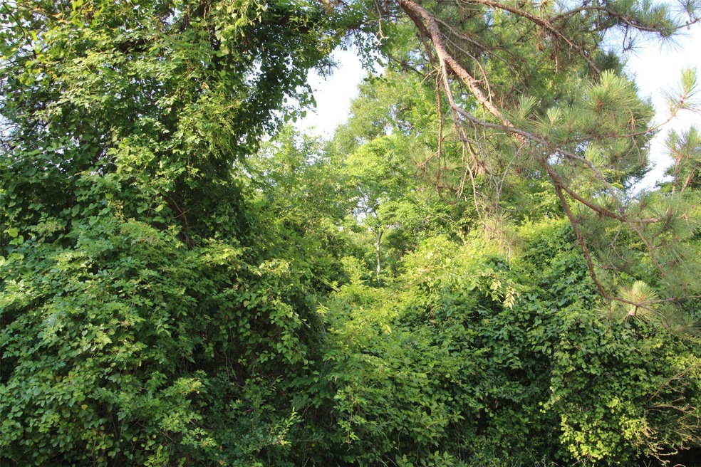 0 Bradbury Dr unit 78869892, Hockley, TX 77447 - photo 1