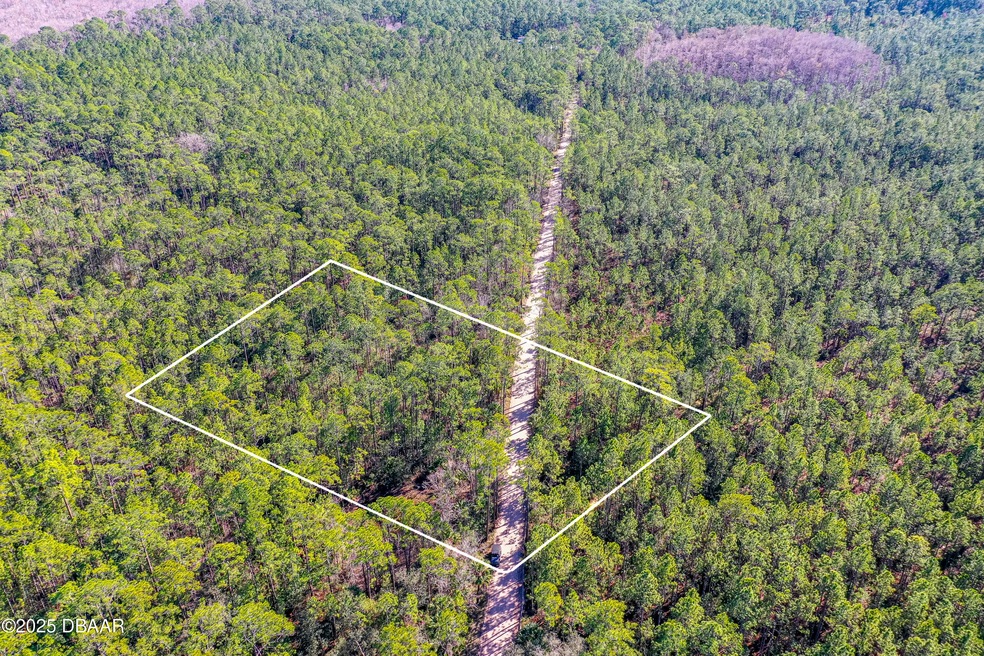 Boundary Lines