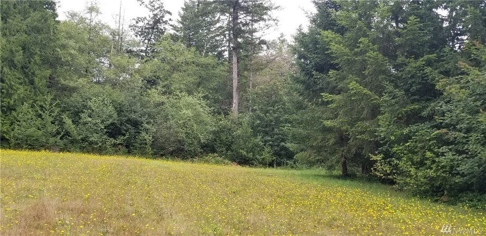 230 Mountview Ln, Ethel, WA 98542 - photo 1