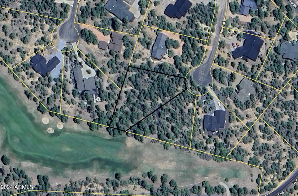 1360 Thin Leaf, Showlow - Overhead Lot L