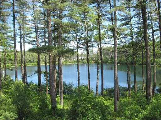 40 Hidden Cove, Plymouth, MA 02360 - photo 1