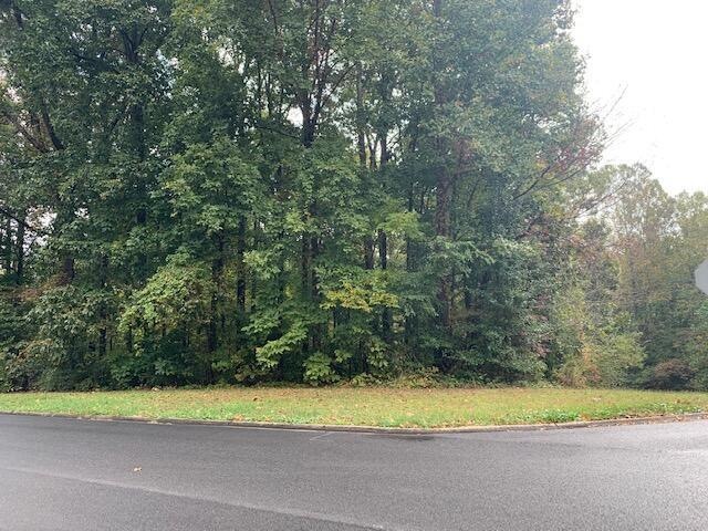 0 Robert Fuller Rd unit 1345845, 49ae3845-A517-4f0c-a930-657692e5efd8, GA 30755 - photo 1