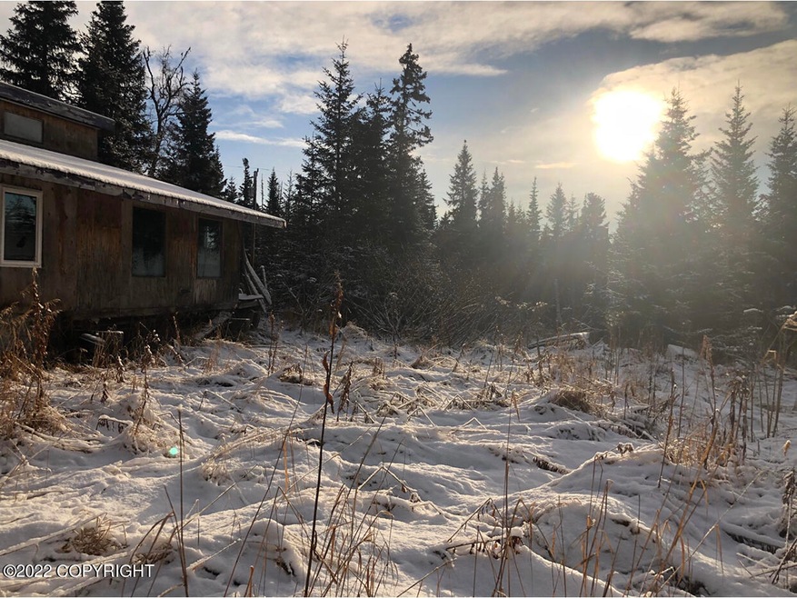 65300 Corabin Rd, Anchor Point, AK 99556 - photo 1