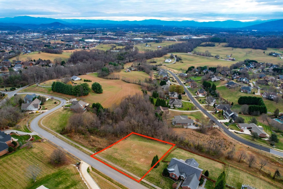 125 Simmons Ridge, Johnson City, TN 37604 MLS 9963007