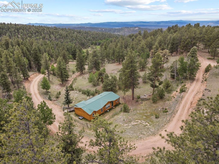 4803 U S 24, Florissant, CO 80816 - photo 1