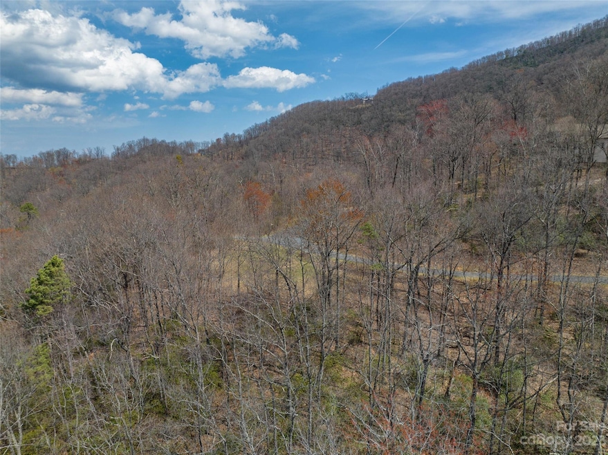 187 Arcadia Falls Way unit 77, Black Mountain, NC 28711 - photo 1