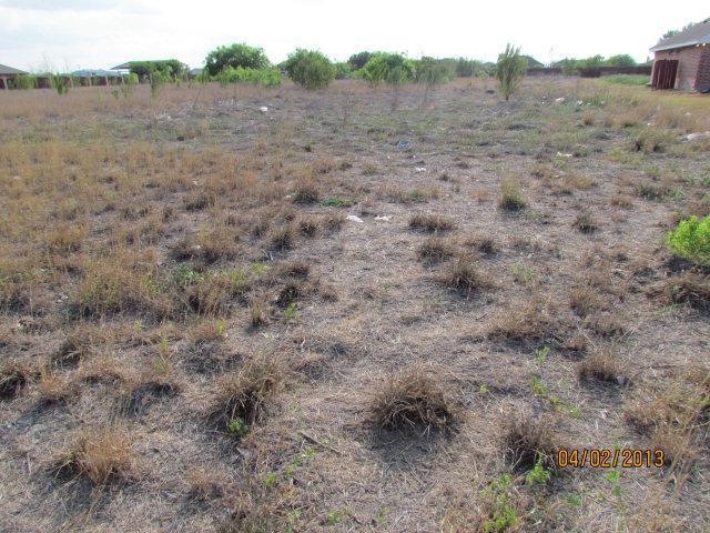 6217 S Fm 493, Donna, TX 78537 - photo 1