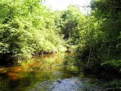 0 Fern unit 14009166, Baldwin, MI 49304 - photo 1