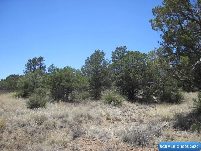 0 Valley Dr, Silver City, NM 88061 - photo 1