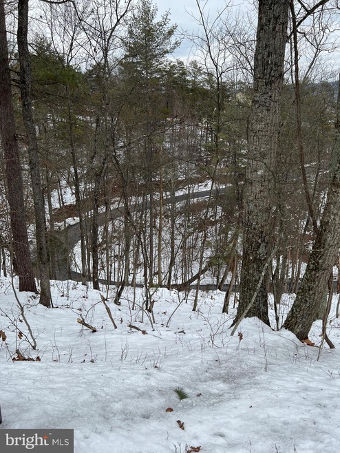 0 Lee Rd - Lot 101 Sec 9 unit VASH2002206, Basye, VA 22810 - photo 1