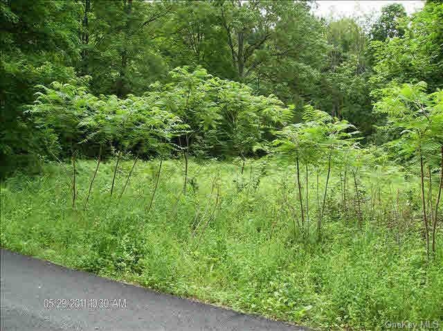 0 Pancake Hollow Rd unit ONEHM336938, Highland, NY 12528 - photo 1