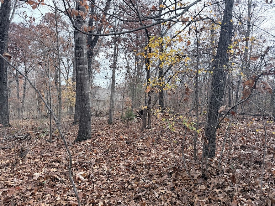 0 Aaron Ln unit 1329009, Bella Vista, AR 72715 - photo 1