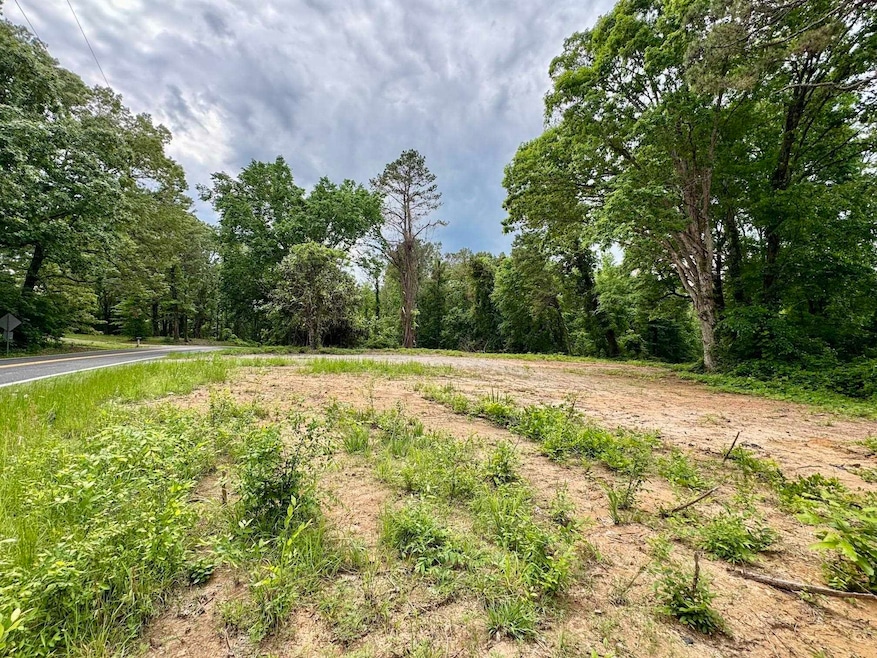 0 Silerton Rd, Toone, TN 38381 - photo 1