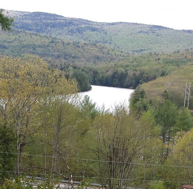 Views from Cottage