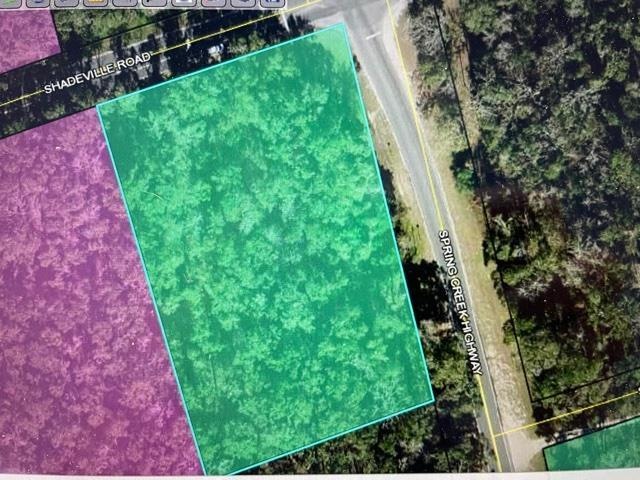 TBD Shadeville Rd, Crawfordville, FL 32327 - photo 1