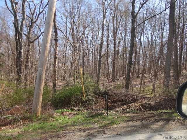 109 Sheldon Rd, Dover, NY 12594 - photo 1