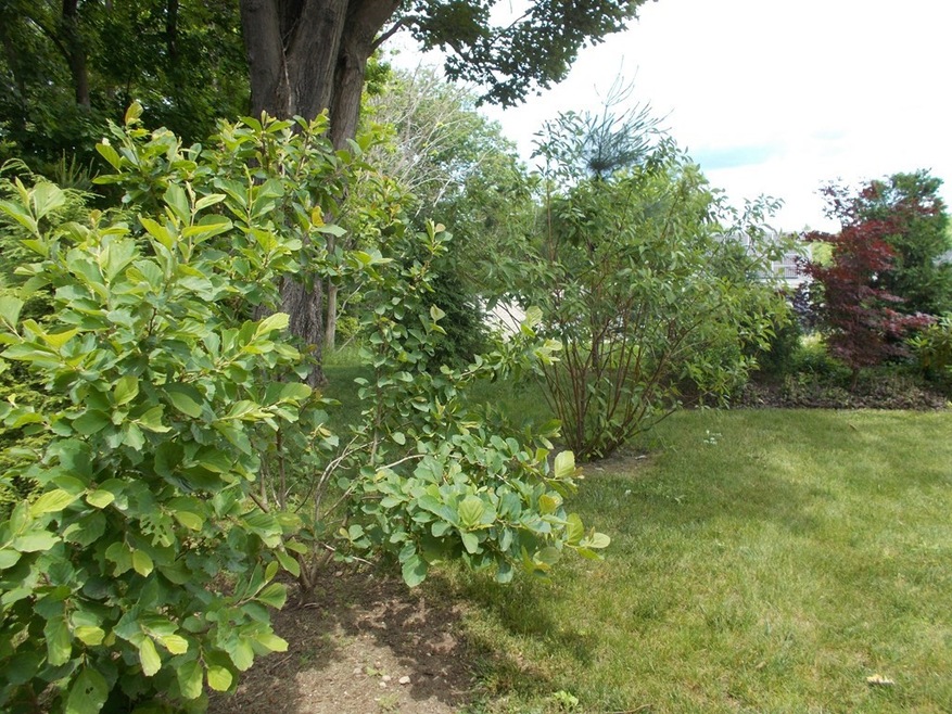 18--8-8 Masterson Rd, Whately, MA 01373 - photo 1