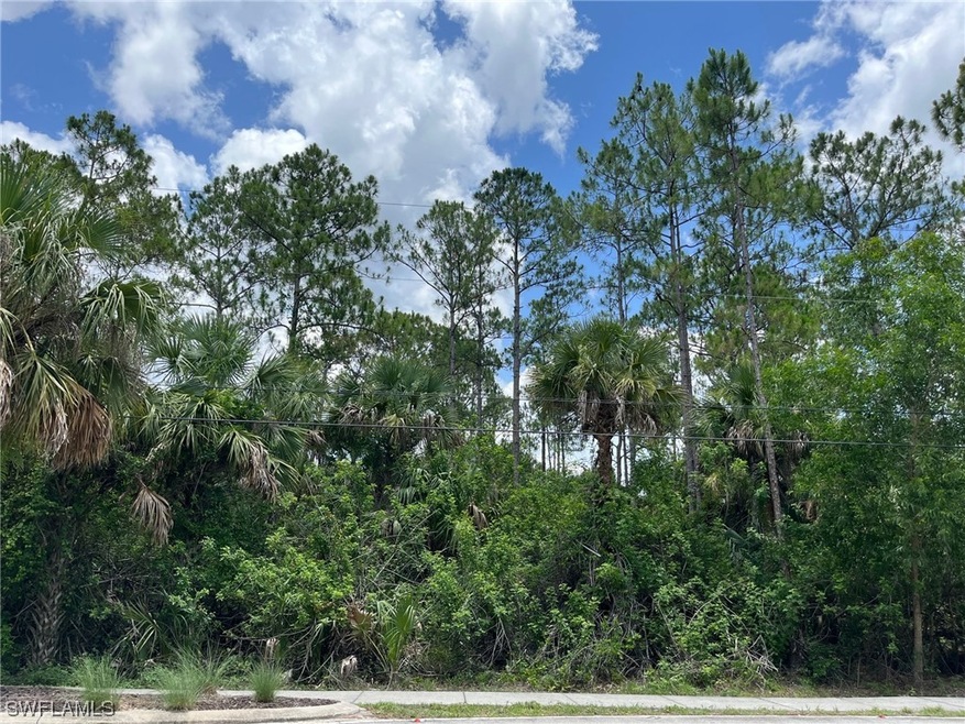 0 13th St SW unit 223047147, Naples, FL 34117 - photo 1