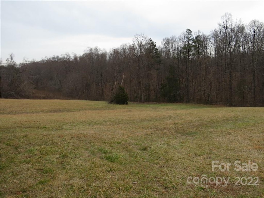 +/-26 Ac Mitchell Farm Rd, Statesville, NC 28625 - photo 1