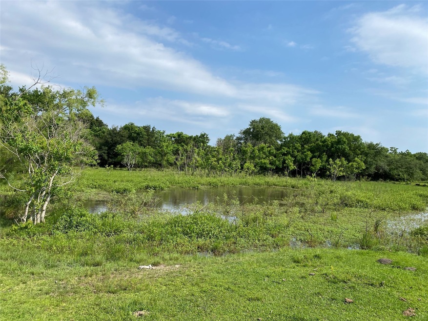 8300 Belcher Rd, Manvel, TX 77578 - photo 1