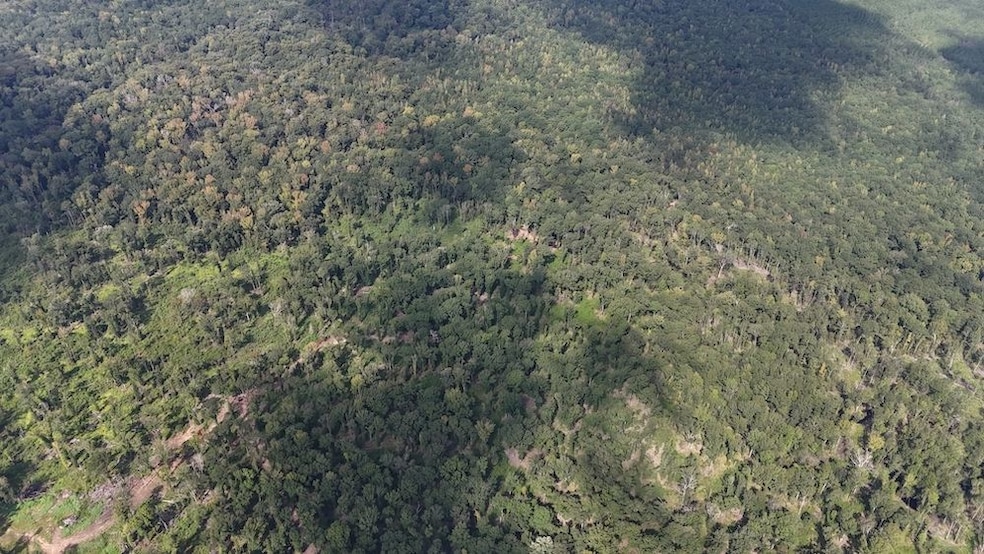 0 unit 2, Winnfield, LA 71483 - photo 1