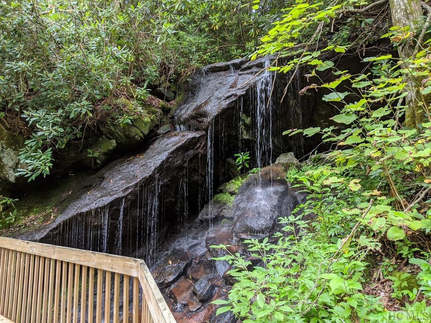 333 W Rochester Dr, Cashiers, NC 28717 - photo 1