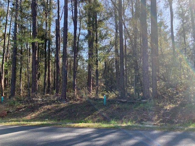 Lot 42 Klickitat Dr unit 3, Crawfordville, FL 32327 - photo 1