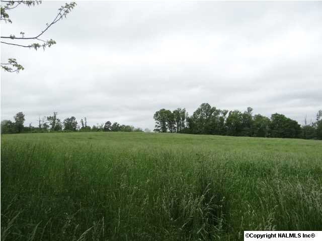 7.5 acres on Hulaco Road just inside Morgan County.