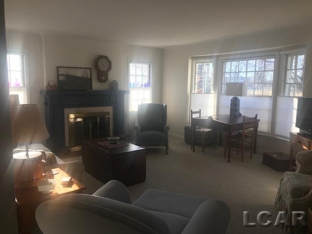 1300 University Ave, Adrian, MI 49221 - photo 1