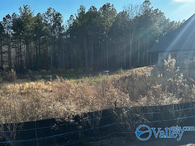Lot 118 Cherokee Ridge Dr, Cherokee Ridge, AL 35175 - photo 1