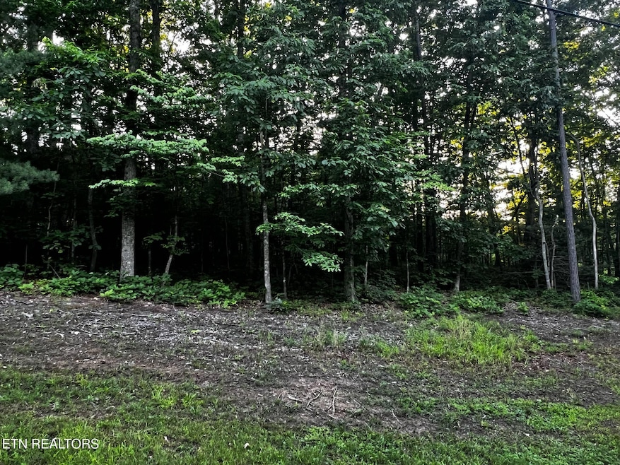 For Sale $9,950 • Co-Listing Agent