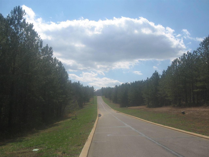 mountain view circle