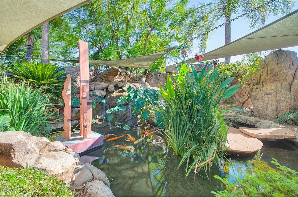 Pond