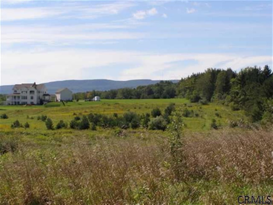 401 Font Grove Rd, Slingerlands, NY 12159 - photo 1